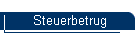 Steuerbetrug